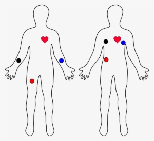 Nodeheart Part - Electrocardiography #689949