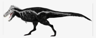 Tyrannosaurus Rex By Ultamateterex #6803156