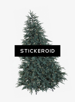 Christmas Outside #6808245