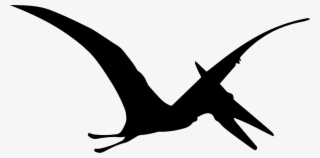 Png File #6812324
