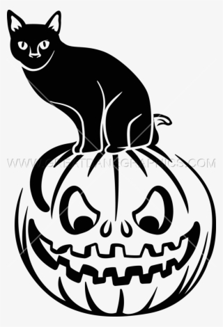 Black Cat On Pumpkin #6814190