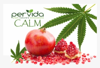 Pervida-calm #6814310