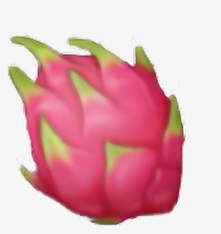 Fruit Fruits Pink Green Dragon Nature Emoji Emojisticke #6814478