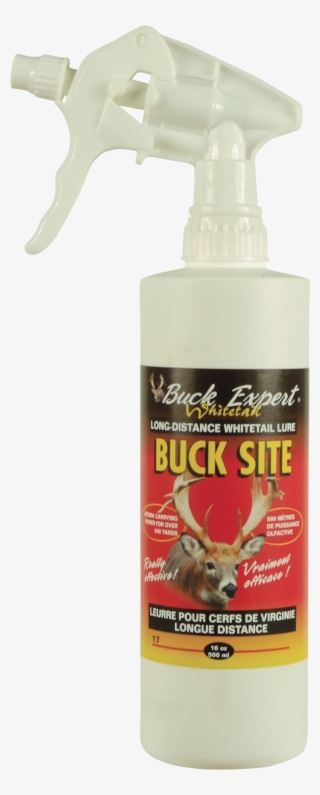Whitetail Buck Site #6815595