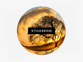 Earth Nature #6816901