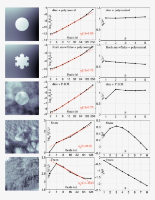 Indicator Functions Of A Disc And Of The Koch Snowflake #6817147