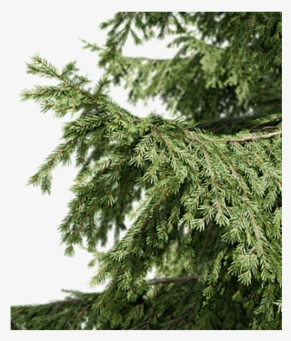 My Name Is Ján Morek And I Have Started An Interesting #6817406