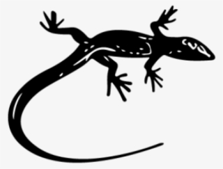 Gecko Clipart Rainforest Lizard #6819573
