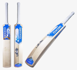 Gecko Terrrarium #6819870