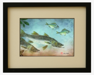 8 X 10 Snook #6823536