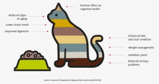 Some Behavioral Criteria Used To Assess Dog Food Performance #6824201