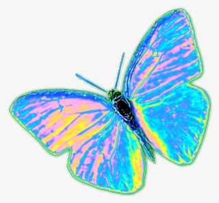 Trippy Butterflies Tumblr Png Trippy Butterflies Tumblr #6824880