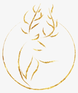 Scottish Travel Blog, Scotland #6825317