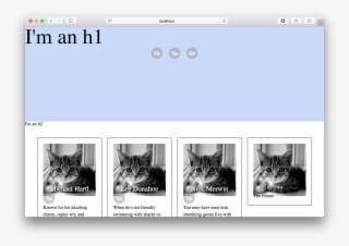 Images/figures/styled Page #6826306