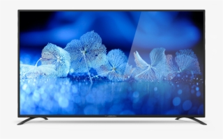 75" 4k Led Ultra Hd Tv #6828118