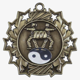 25 Inch Die Cast Martial Arts Medal #6837715