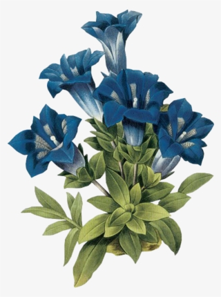 Leaves Png Green Kpopedit Edits Edit Overlay Blue Flowe #6839335