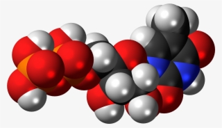Ribothymidine Diphosphate 3d Spacefill #6840045 Ribothymidine Diphosphate 3d Spacefill #6840045