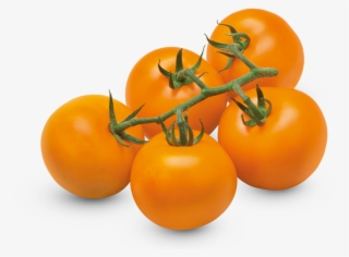 Orange Tomato #6841598
