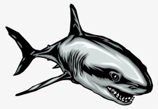 Clipart Shark Gray Shark #6842144