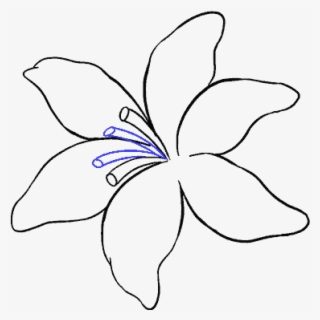 Drawing Veins Shaded #6843795