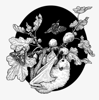 Fig Tree And The Fruit Bat #6844779