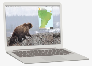 Browse 22 Countries #6844781