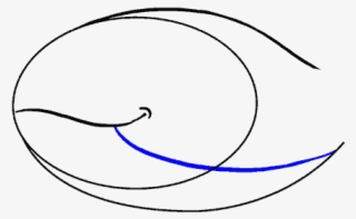 How To Draw Whale #6844908