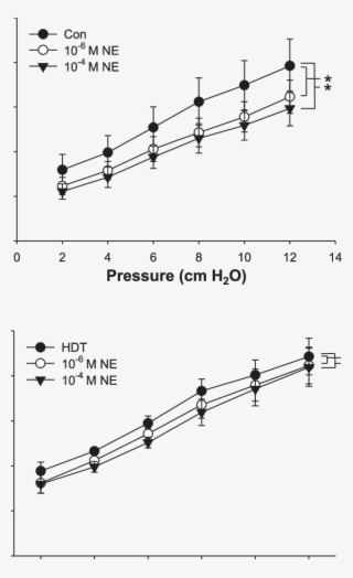 Pressure-diameter Responses After Exposure To Ne In #6844915