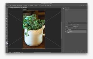 You Can Always Click And Drag To Tweak The Framing #6845479 You Can Always Click And Drag To Tweak The Framing #6845479