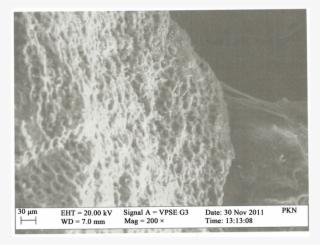 Pkn Before Adsorption #6846113