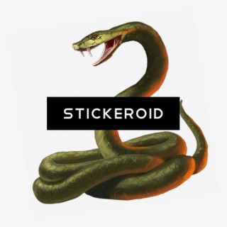 Cobra Snake Head #6847540 Cobra Snake Head #6847540