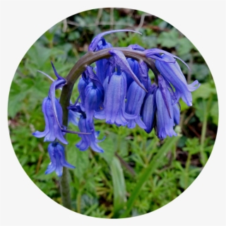 Where Five Valleys Meet April Cliff Top #6847690