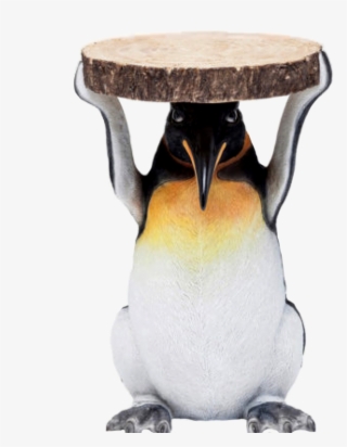 Pinguim Png #6848294