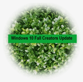 Windows 10 Black Screen With Cursor #6850129