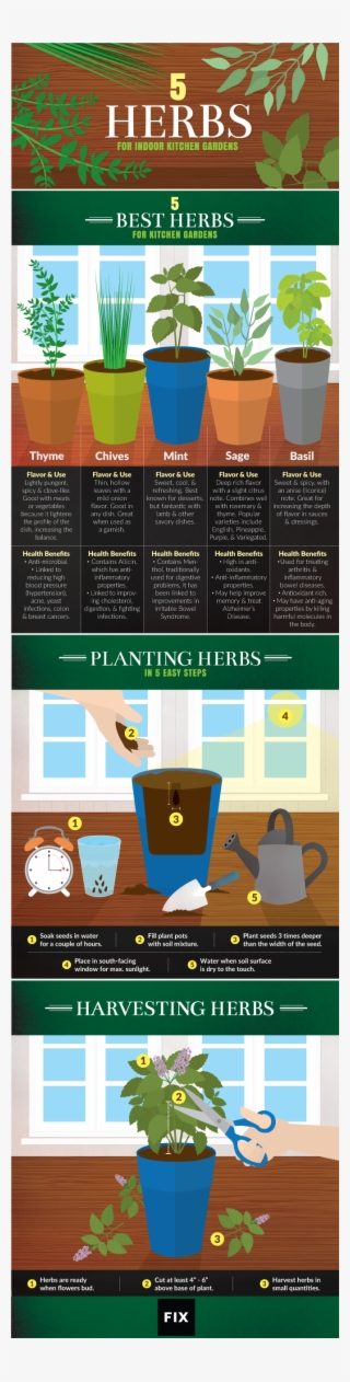 Outdoor Potted Plants Png #6851450