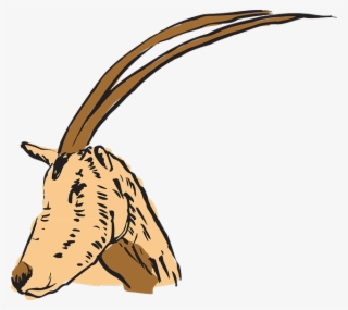 Cuernos En Antilope Clipart Antelope Horn Clip Art #6851505