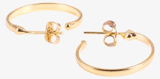 Gold Hoop Earrings #6852279