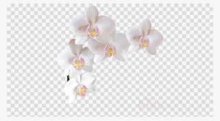 Jewelsbymoonli Hoop Earrings, Gold Hoop Earrings, Silver #6852765