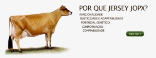 Fazenda Ipiranga #6854924