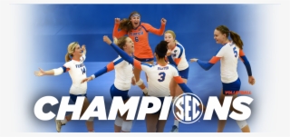 Pop-up View Separately #6855490