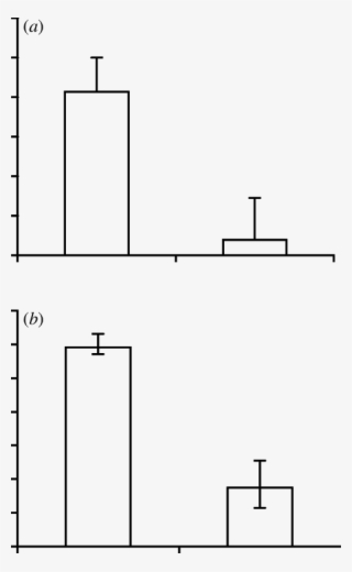 E¡ects Of Supplementary Feeding On Contributions To #6855819