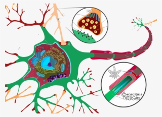 Follow Us On Facebook #6856539