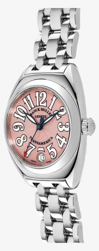 Transamerica Stainless Steel Automatic #6858413