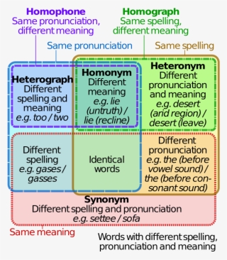 Homograph Homophone Venn Diagram #6865244
