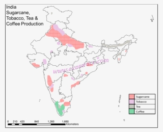 India Sugarcane Tobacco, Tea And Coffee Production #6866456