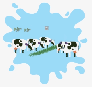 Quality Milk From Well-treated Cows #6868696