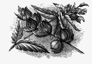 Digital Wildflower Downloads #6869836 Digital Wildflower Downloads #6869836