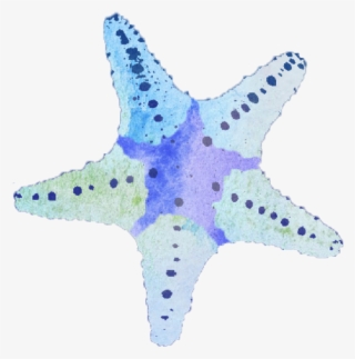 Starfish.png #6870760 Starfish.png #6870760