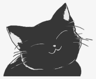 Cat Cats Blackcat Smilingcat Happycat Keepsmiling Petsa #6871349